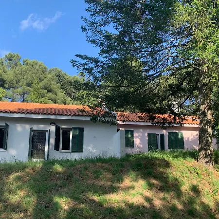 Bel Douro Torre De Moncorvo